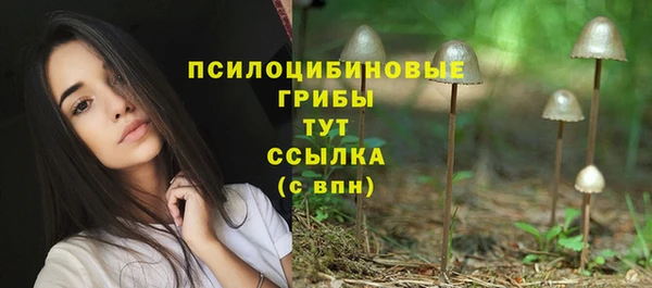 амф Надым