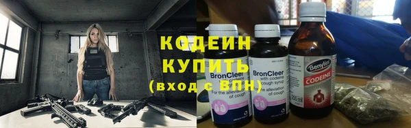 индика Нефтегорск