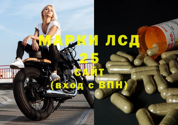 индика Нефтегорск