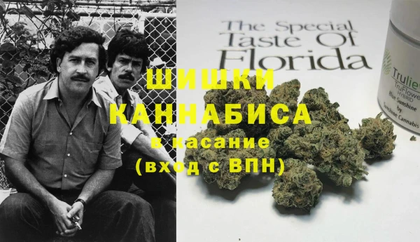 амф Надым